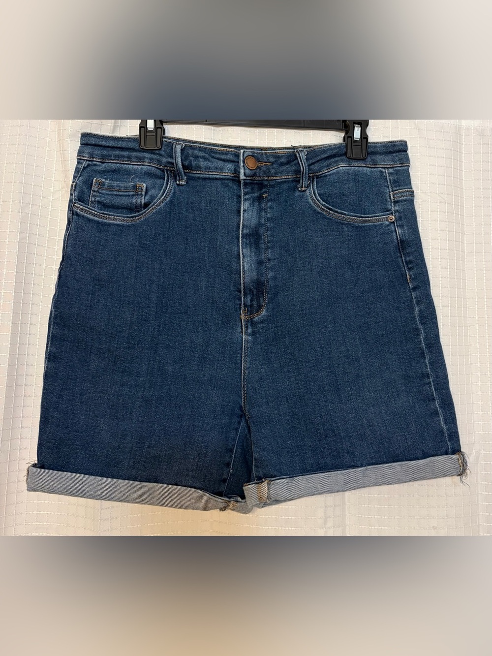 Risen Los Angeles stretch denim shorts- 1X